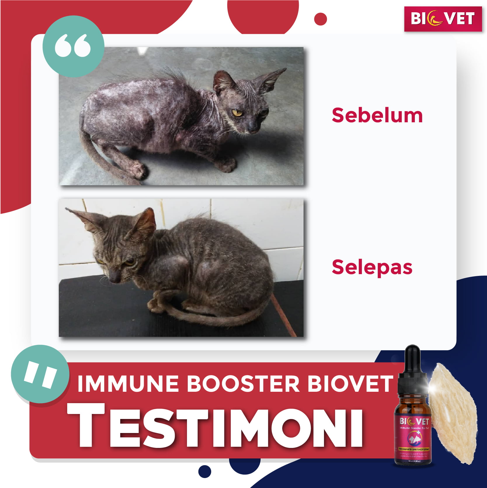 Testimoni-BioVet-D5-04.jpg