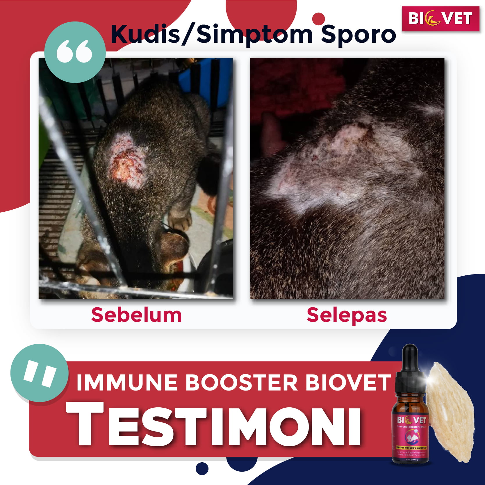 Testimoni-BioVet-D5-05.jpg